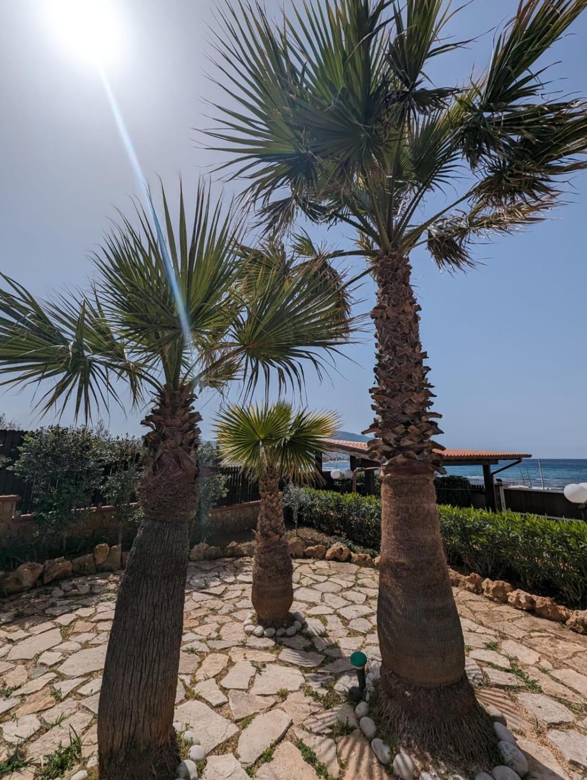 Villa Baia Di Cornino Custonaci Eksteriør billede